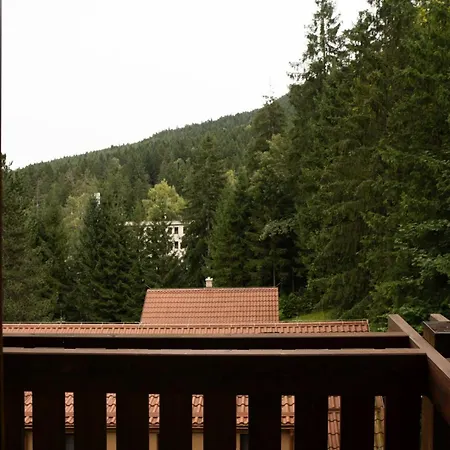 Apartmanovy Dom Fatrapark 1 S Wellness - Hlavna Recepcia Ruzomberok